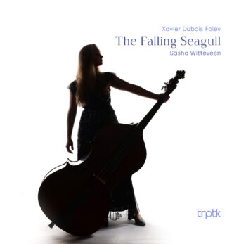Sasha Witteveen - Foley - The Falling Seagull (Single)
